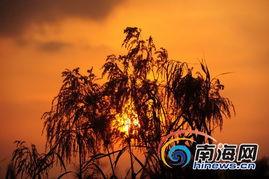 暖阳似火,温暖冬日里的阳光之旅