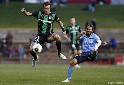 2024欧预赛I组第8轮 罗马尼亚VS安道尔,欧预赛I组第8轮精彩对决