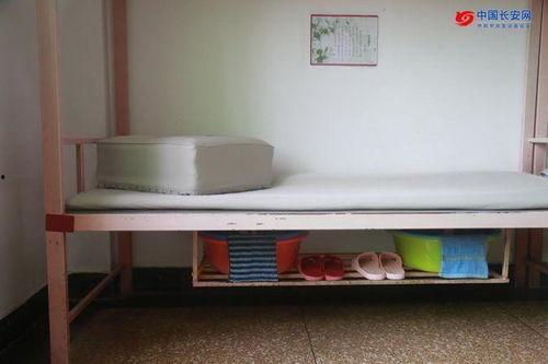 高墙天堂,探寻“高墙天堂”的神秘世界