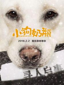 小狗奶瓶,萌宠育儿新风尚